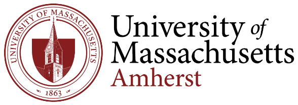 STIMA Lab · UMass Amherst logo